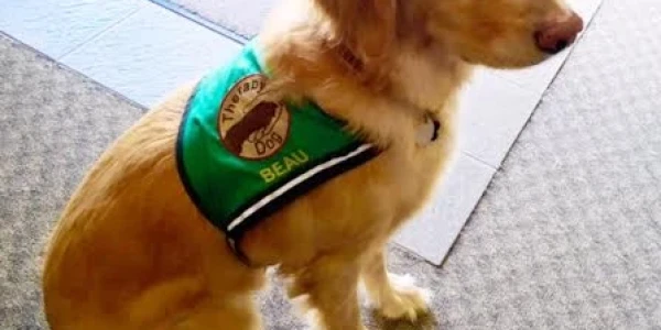 Athens Area Commencement Center